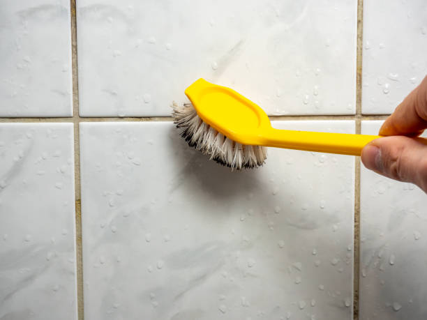 Best Affordable Mold Removal  in Hopkinsville, KY